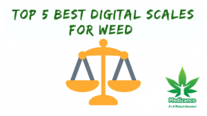 best digital scale for weed