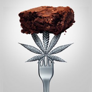effects of pot brownies