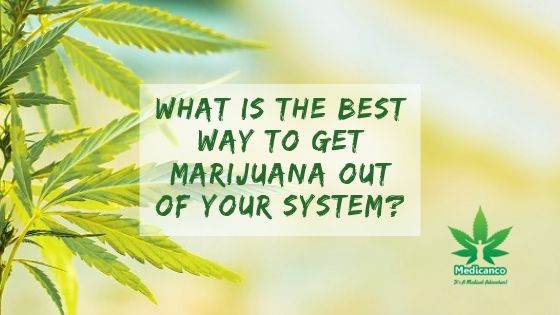 what is the best way to get marijuana out of your system?
