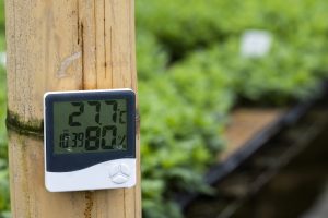How To Control Temperature and Humidity in a Grow Room